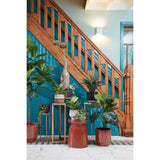 Ensemble Plantenmand Damian Wit