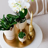 Maison Colibri | Bol décoratif - Plateau rond doré Ø30cm