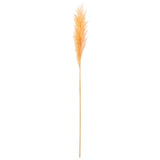 Branche de fleurs séchées J-Line Pampas en orange clair, élégante et naturelle