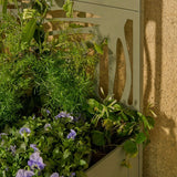 Stand de plantes à l'extérieur de Sapri Green