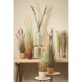 Bouteille décorative Bio