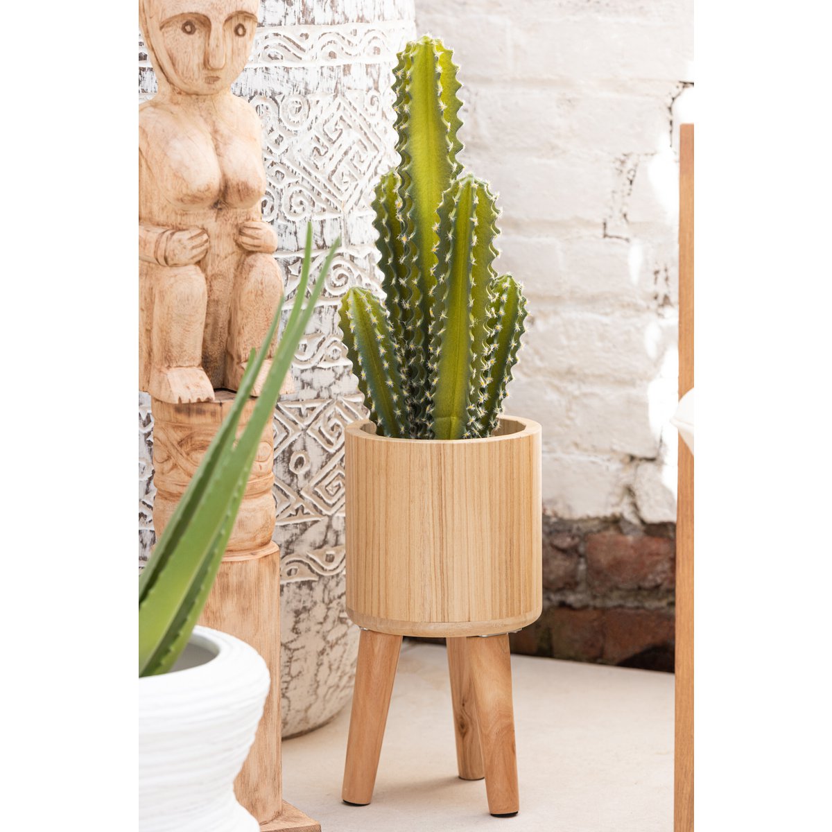 Utilisation des pots J-Line Classic avec des plantes