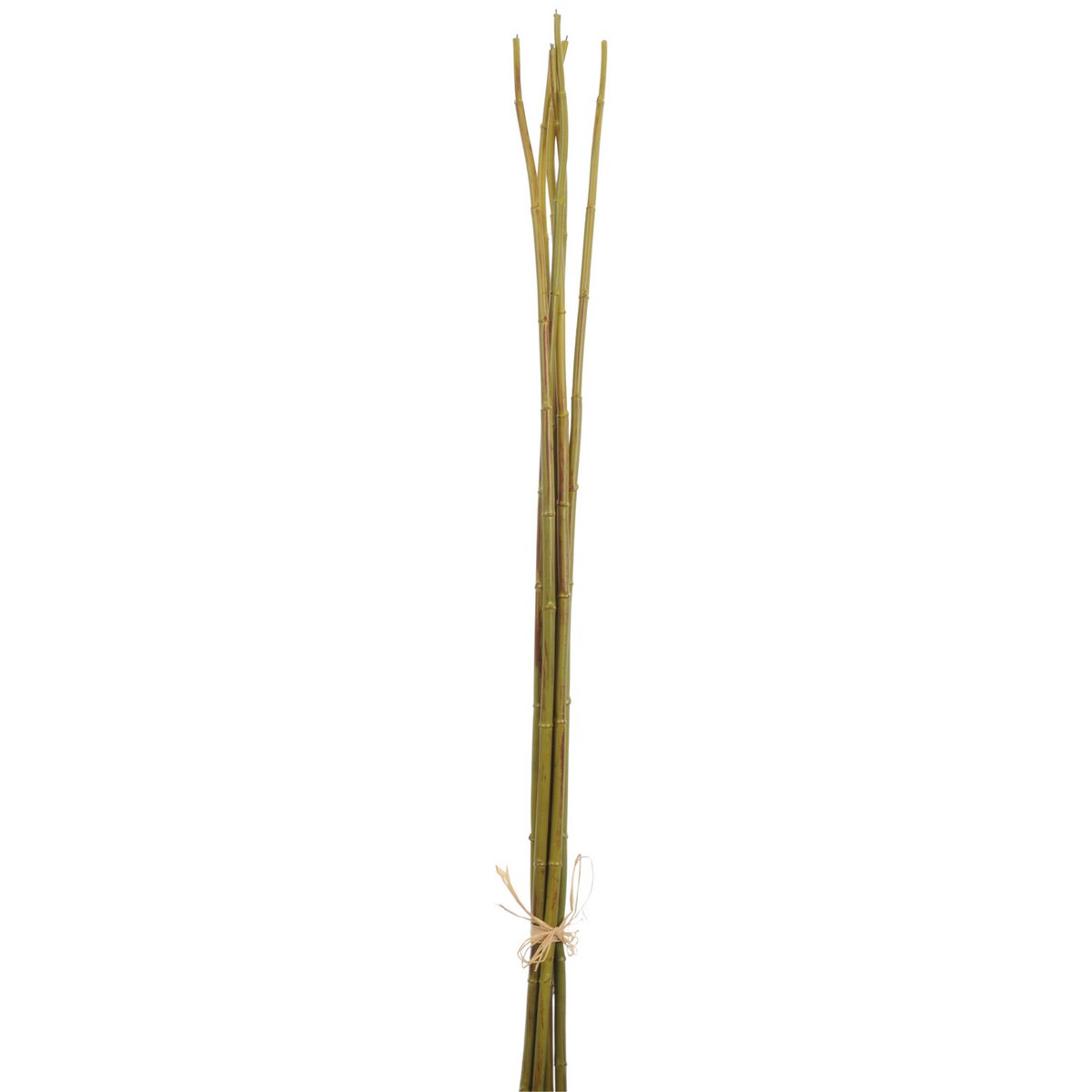 Plante artificielle Bambou Vert J-Line, élégante et réaliste, pour une décoration intérieure moderne.