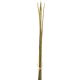 Plante artificielle Bambou Vert J-Line, élégante et réaliste, pour une décoration intérieure moderne.