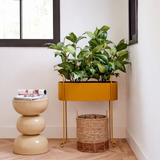 Pot de fleurs à l'intérieur de Moritz Brown