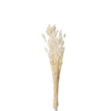 Bouquet de fleurs séchées J-Line en écru, mise en scène décorative