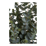 Eucalyptus artificiel dans un pot en ciment moderne