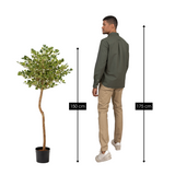 Plante artificielle Ficus Vert
