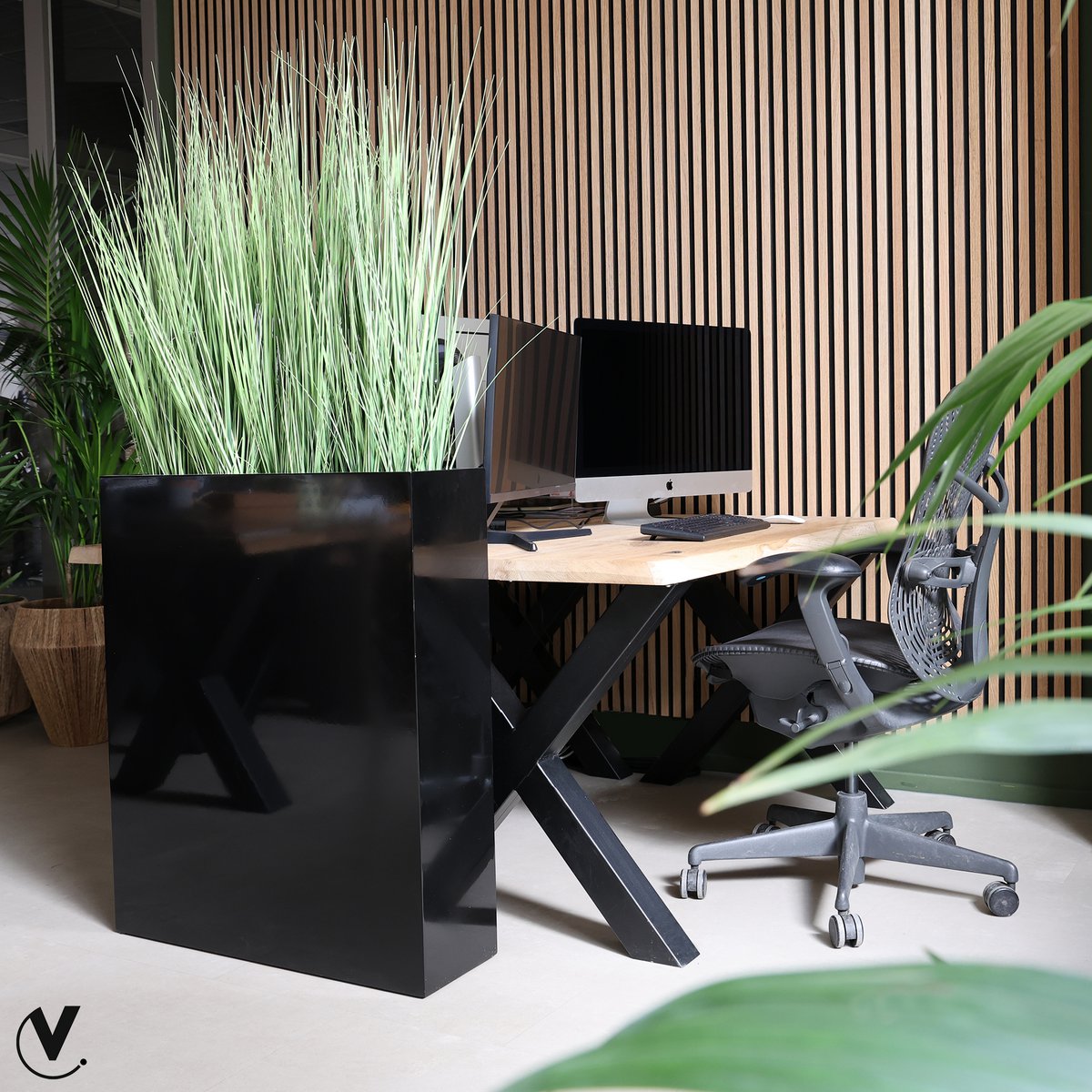 Image de diapositive
