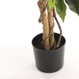 Plante artificielle Ficus Vert avec feuilles naturelles et tronc en bois