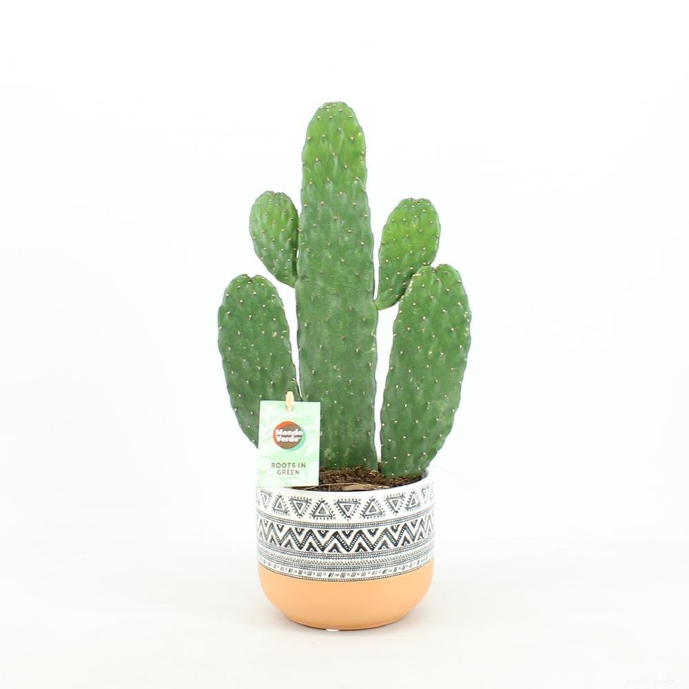 Console Opuntia rubescens en céramique azteca - vue détaillée