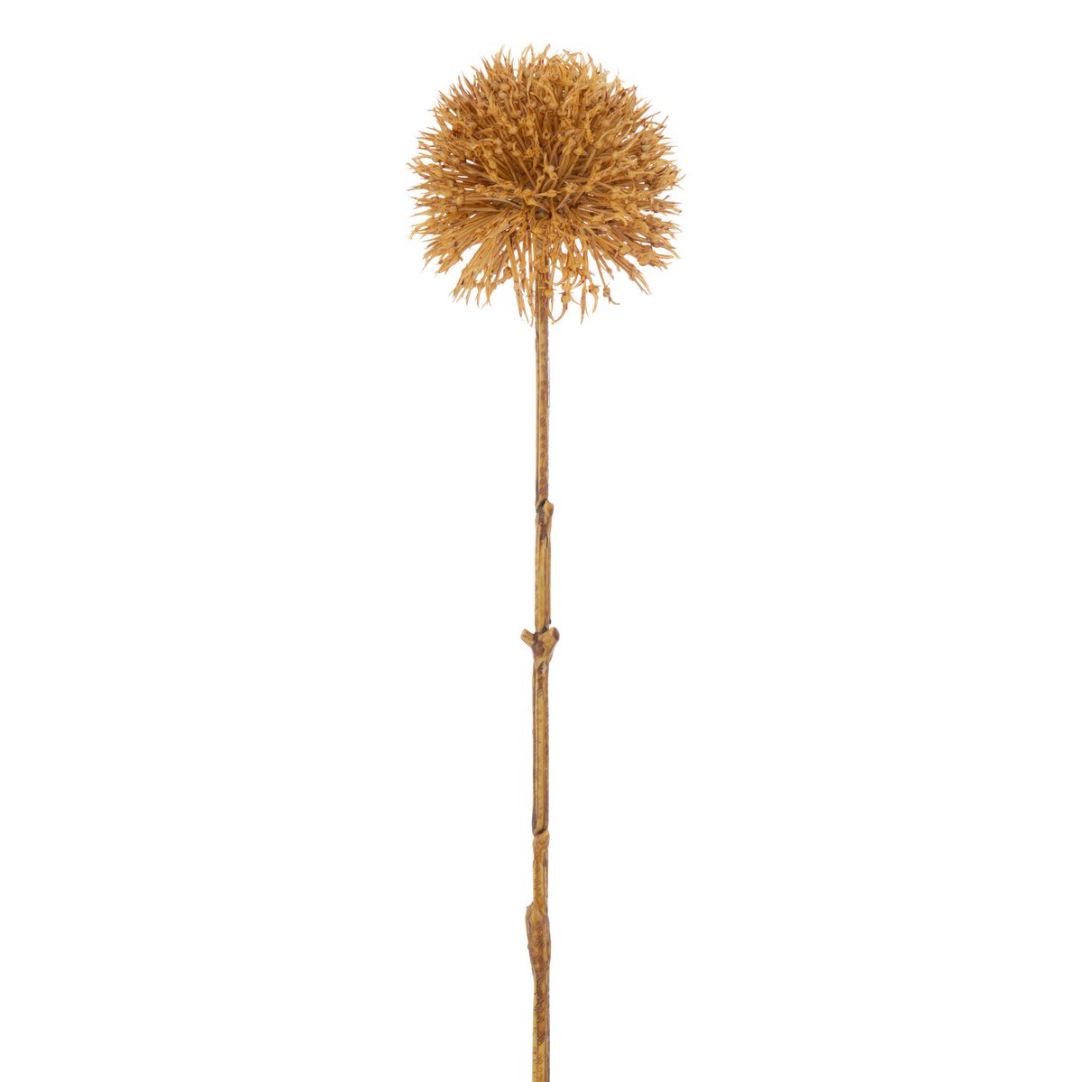 Fleur artificielle Allium J-Line, détail des pétales et tige.