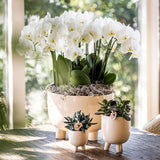 Lot de pots en travertin beige 6, 9 et 12 cm