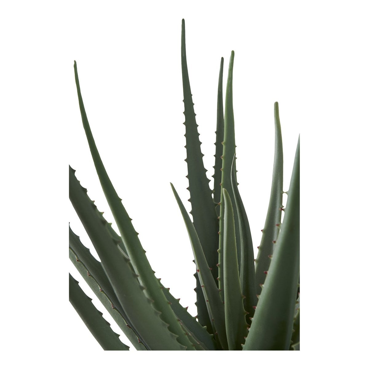 Détail du pot de l'Aloé Véra artificielle