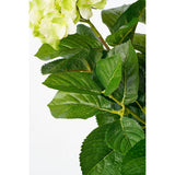 Plante d'art Hyddongea Creme
