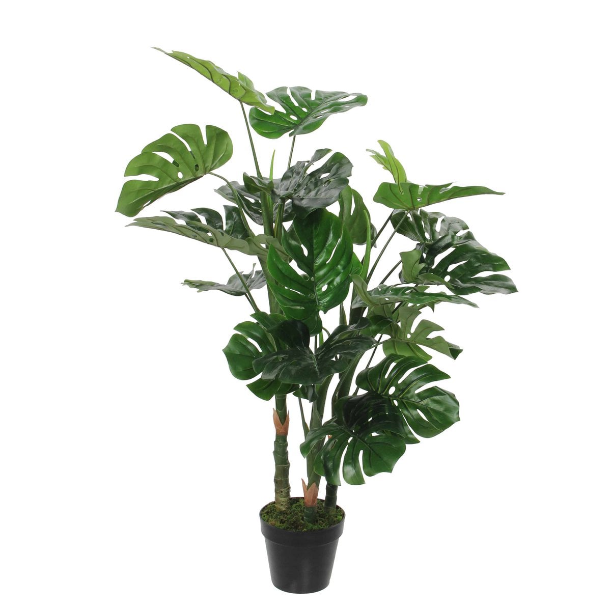 Plante Monstera artificielle verte avec feuilles détaillées