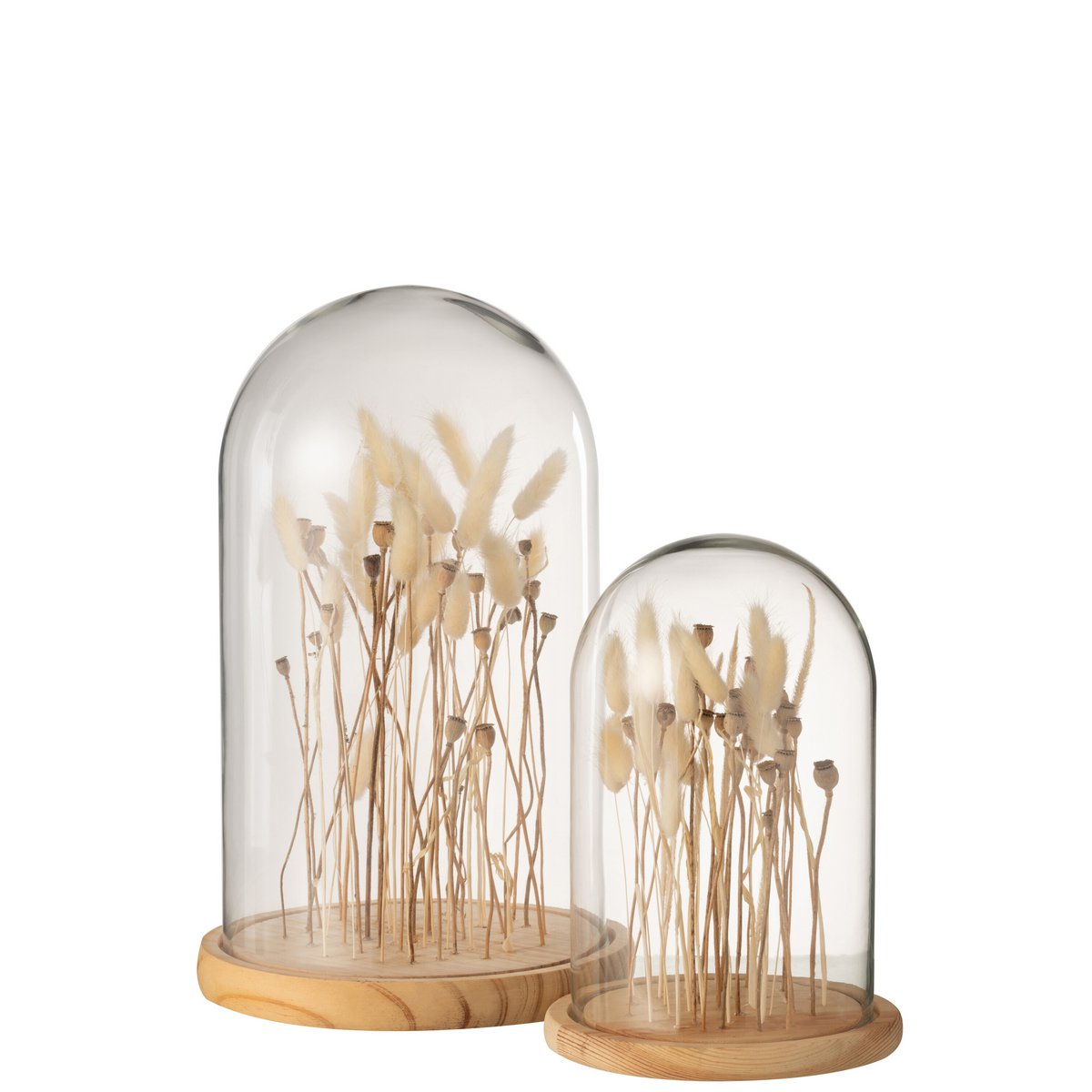 Cloche décorative J-Line en verre et bois avec fleurs séchées