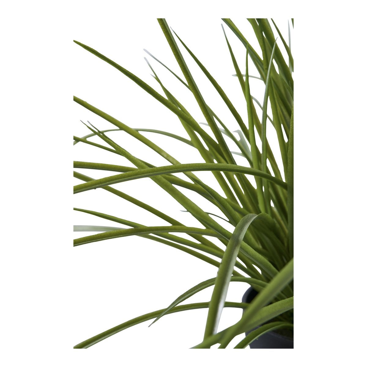 Vue de côté de la plante artificielle, style moderne