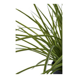 Vue de côté de la plante artificielle, style moderne