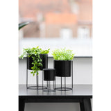 Pot à fleurs J-Line en métal noir, mise en scène avec décoration