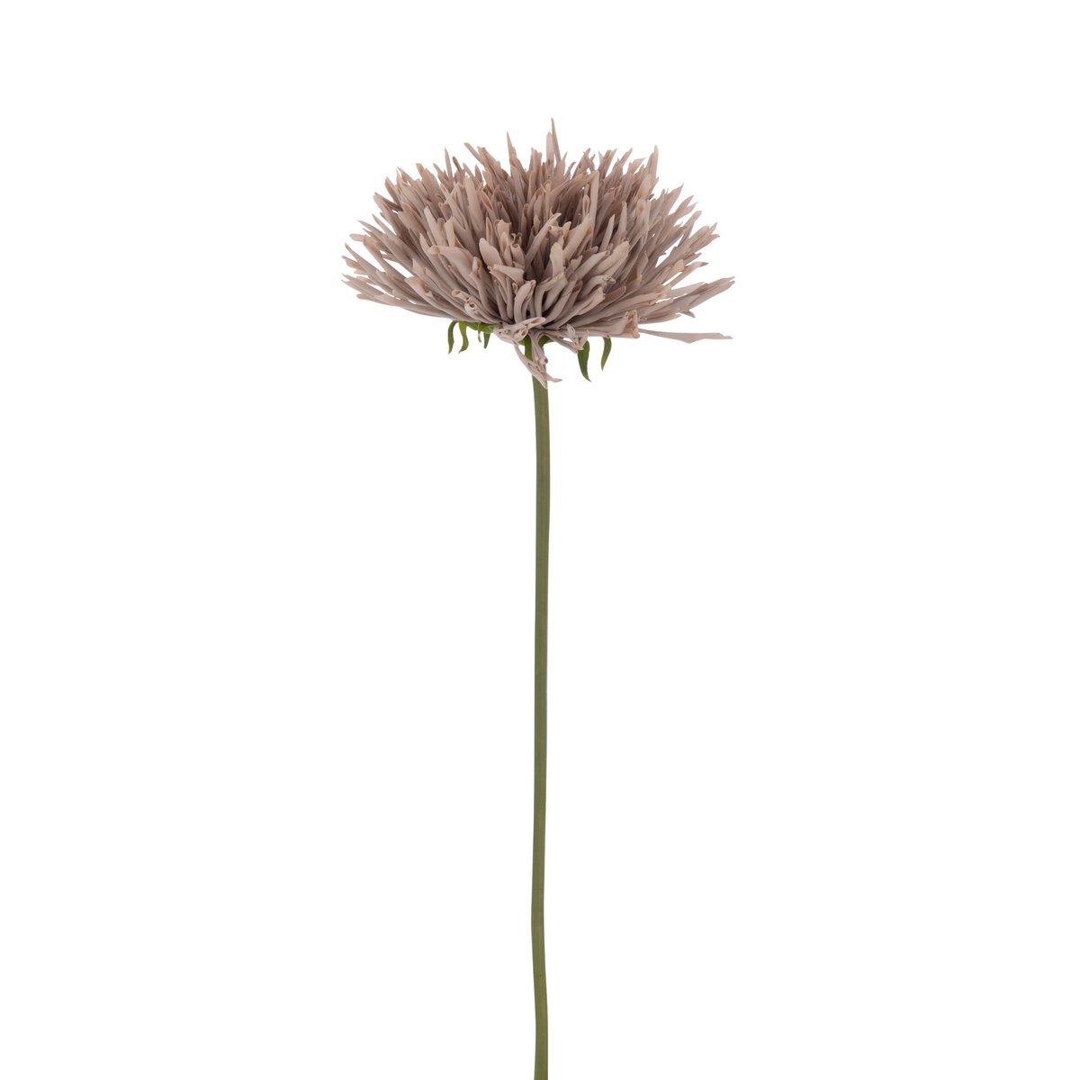 Plante artificielle J-Line Chrysanthème en rose et gris, décor moderne