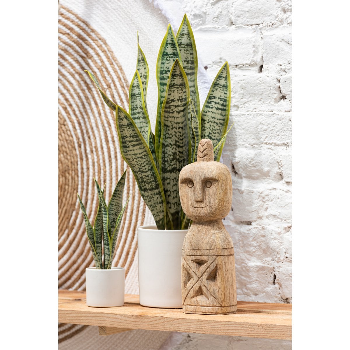 Plante J-Line Sansevieria sur une table moderne, ambiance intérieure