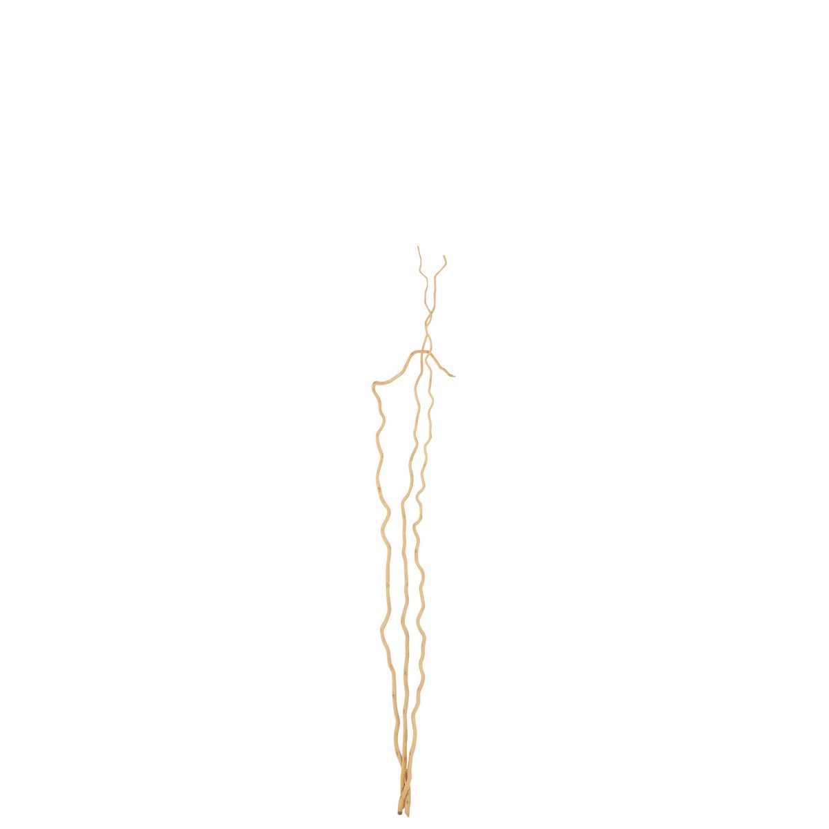 Détail de la branche de décoration J-Line, fleurs séchées en rotin naturel