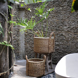 Plante | Panier de rangement | Panier à linge CANGGU en jacinthe d'eau (3 tailles)