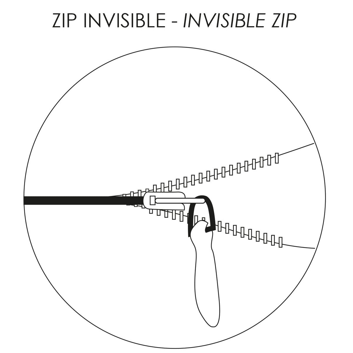 Image de diapositive