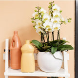 Pot de fleur décoratif en céramique blanche
