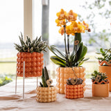 Maison Colibri | Support à plantes - Réhausse à plantes en métal blanc Ø12cm
