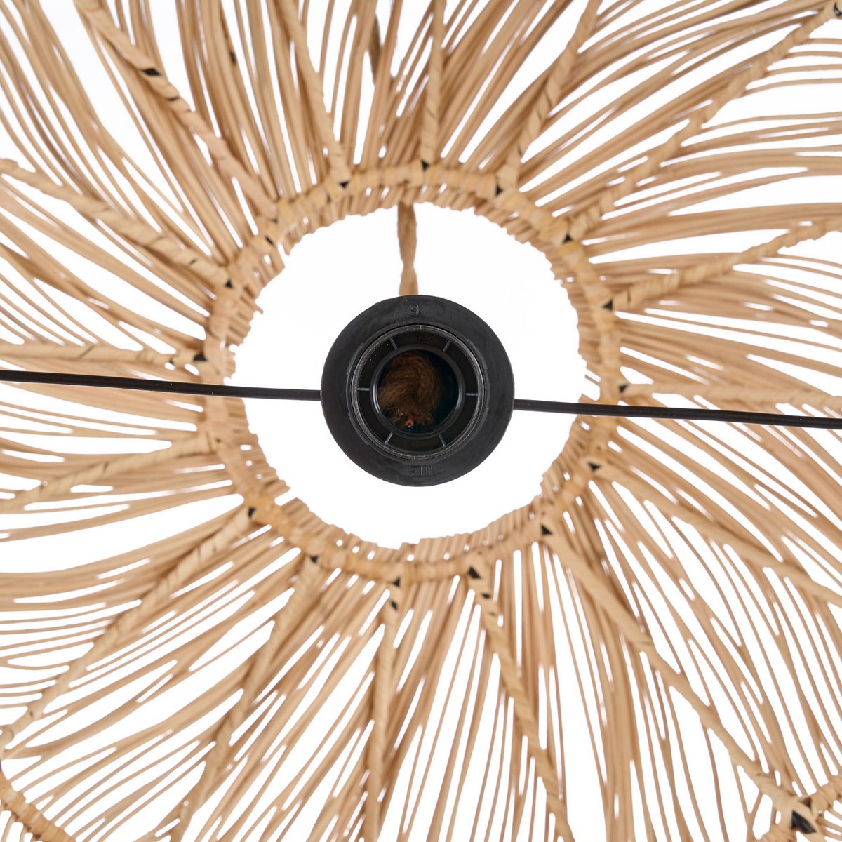 Image de diapositive