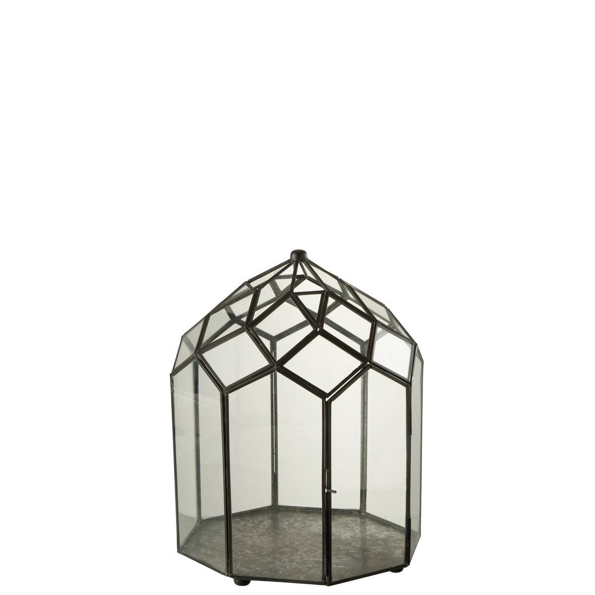 Terrarium J-Line, en situation dans un salon moderne