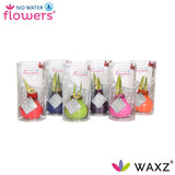No Water Flowers Waxz Happy Mix in Koker - 6 stuks - Ø7 cm - ↕15 cm