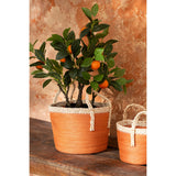 Oranger J-Line en pot, plante artificielle orange et verte