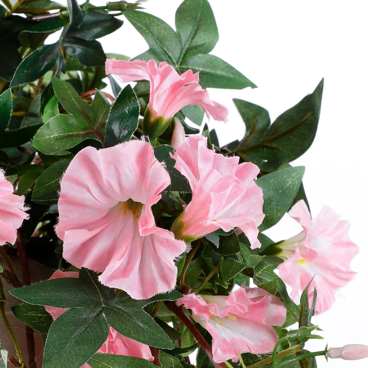 Détail du pot en terre cuite de la plante suspendue Pétunia rose