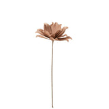 Détail de la branche de fleur Eva en rose, texture et couleur