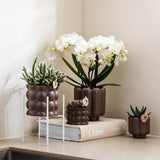 Maison Colibri | Support à plantes - Réhausse à plantes en métal blanc Ø12cm