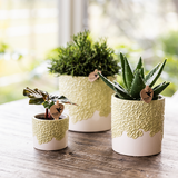 Société Kolibri | Offre combinée | Bloom sierpot vert – set 6 cm + 9 cm + 12 cm