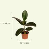 Buitenbakjesbox - Ø12cm - 8x