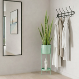 Pot de fleurs à l'intérieur de Colyn Groen
