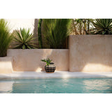 Le Vase Belly - Noir Naturel - S