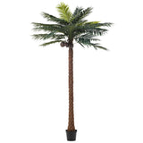 Pot plastique vert du palmier J-Line