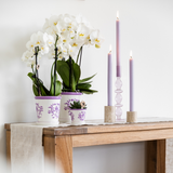 Pot Kolibri Home I Malaga - Lilas - Ø9cm