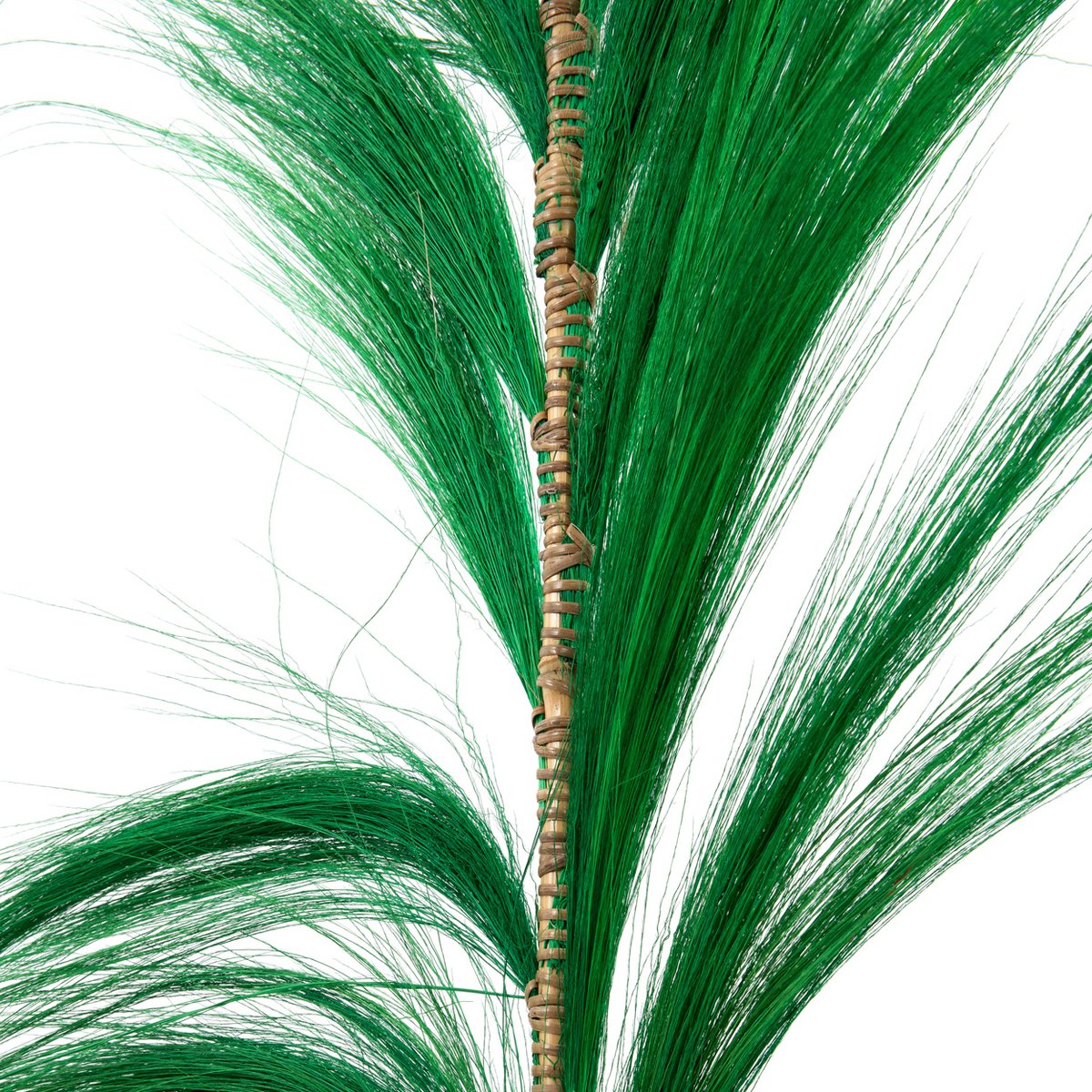 Image de diapositive