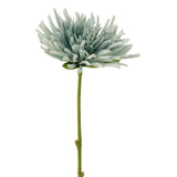 Mini chrysanthème J-Line - plastique - blanc/bleu clair