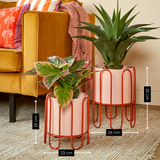 Pot de fleurs intérieur Dione Rose