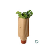 Monstera en papier - Plante décorative élégante de 60 cm