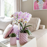 Maison Colibri | Pot décoratif de bonbons | Haut - Rose - Ø9cm