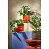 Plante artificielle suspendue Scindapsus Vert